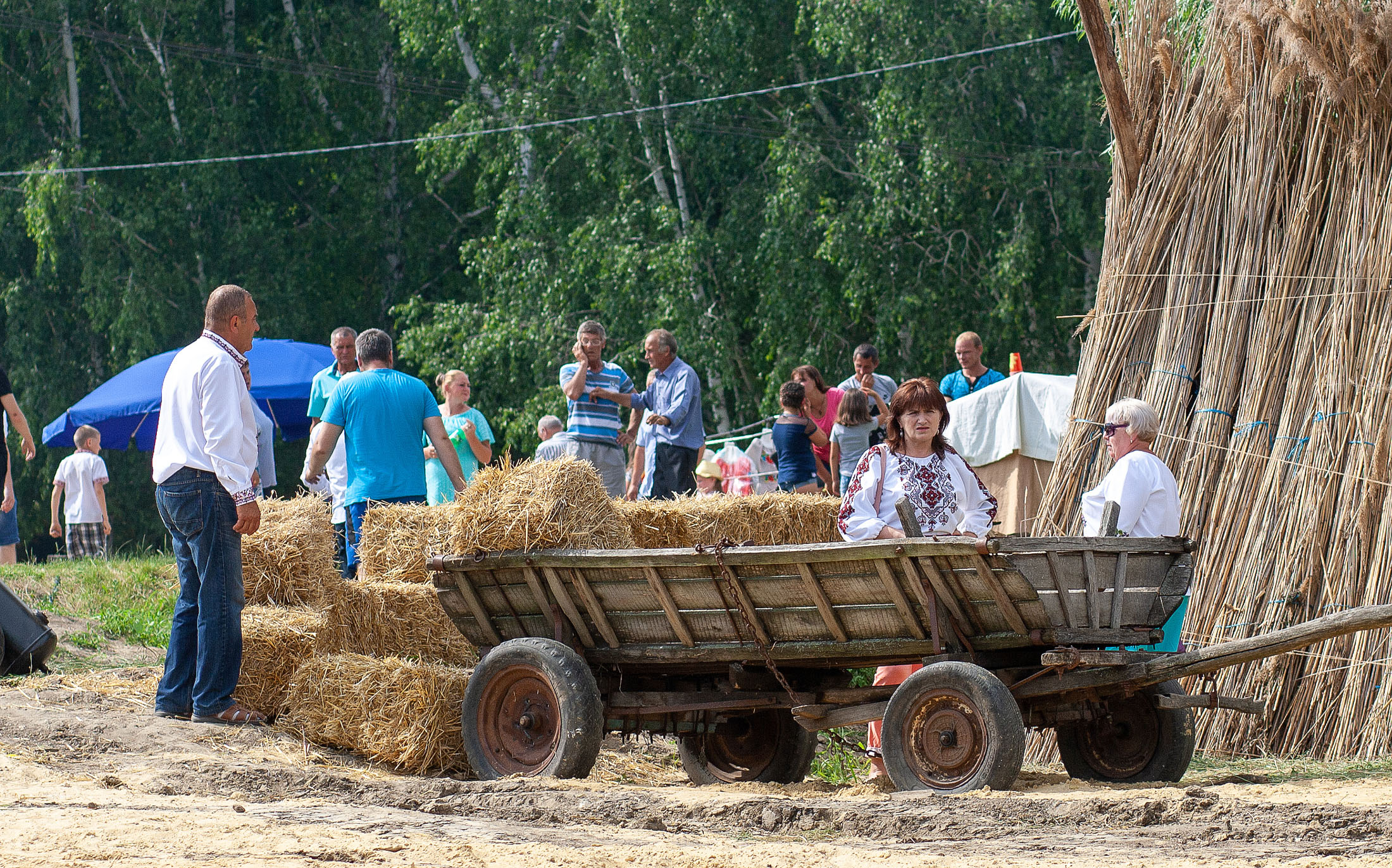 KodimaFest-60